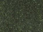 Anemone green Granite Germany