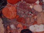 Aquarius Red red Conglomerate Brazil