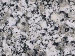 Cinza Prata grey Granite Brazil