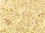 Crema Marbella Stone Countertops Color Search