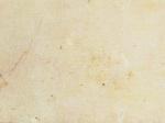 Crema Marfil beige Limestone Spain