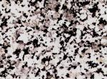 Gris Perla Stone Countertops Color Search