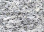 Ice Grey grey Gneiss India