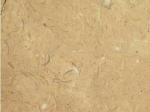 Iran M 230 Stone Countertops Color Search