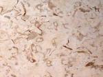 Iran M 234 beige Limestone Iran