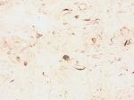 M 5326 Stone Countertops Color Search