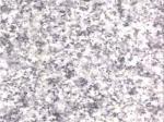 New Sera Grey Stone Countertops Color Search