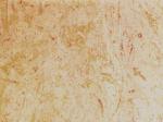 Perlato Svevo Stone Countertops Color Search