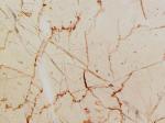 Rosa Atlantide Stone Countertops Color Search