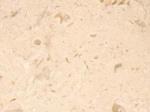 Sandy beige Stone Countertops Color Search