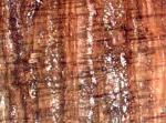 Travertino Rojo red Travertine Spain