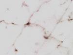 Uliano Venato Stone Countertops Color Search