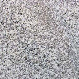 /clientdata/countertop material/Granite/blanco perla granite counter top Colors