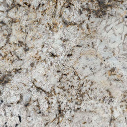 /clientdata/countertop material/Granite/venice cream granite counter top Colors
