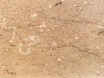 Nocciolato Chiaro beige Limestone Italy